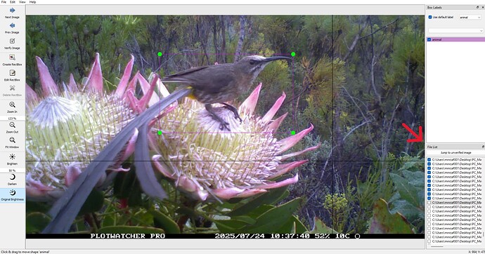 Screenshot 2025-10-13 224056.PNG