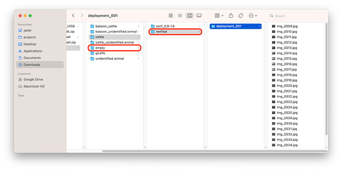 Screenshot 2025-09-17 at 10.04.23