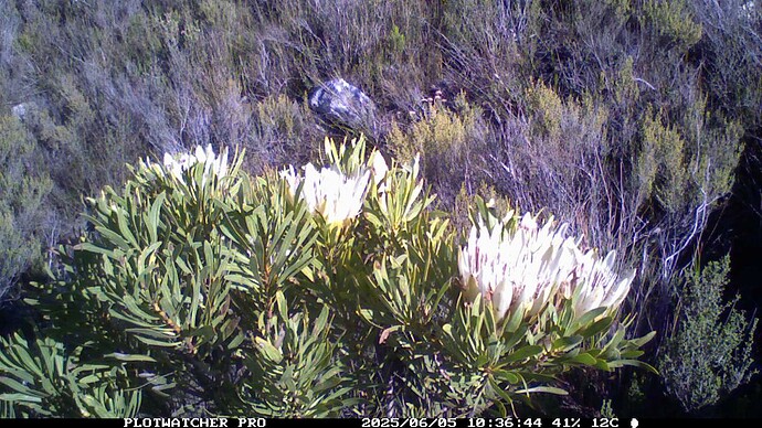 2025_06_05_Roch_2_0156_2149.TLV_1